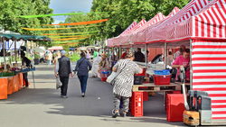 Impressionen vom Westwallmarkt. Bild: Stadt Krefeld, Presse und Kommunikation, Andreas Bischof